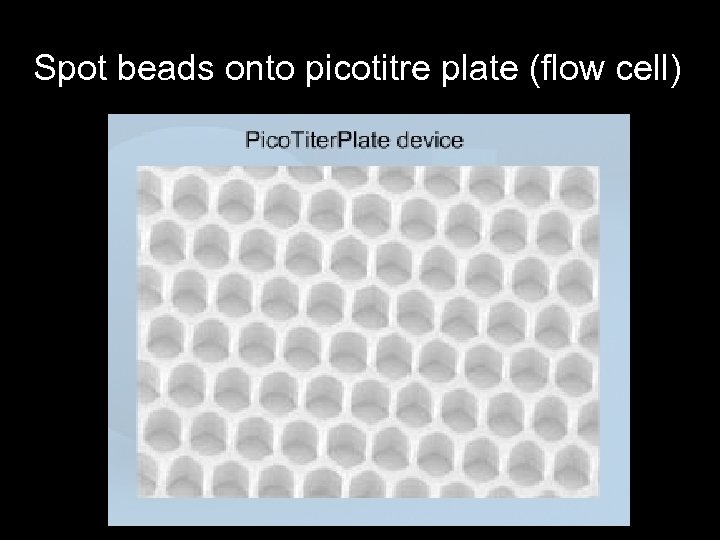 Spot beads onto picotitre plate (flow cell) 