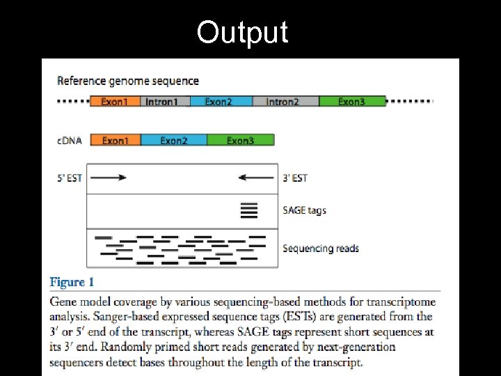 Output • Creates an image for every read • ~13 Mbp/hr, ~400 -500 bp/read