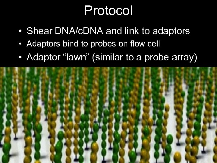 Protocol • Shear DNA/c. DNA and link to adaptors • Adaptors bind to probes