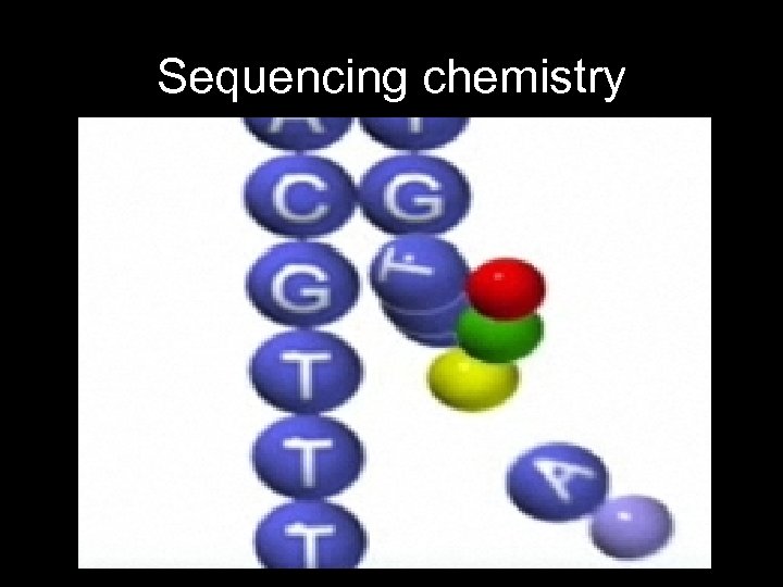 Sequencing chemistry – Fluorescently labeled bases • Initially blocked to prevent polymerization • Laser