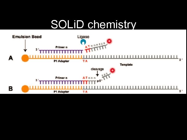 SOLi. D chemistry 