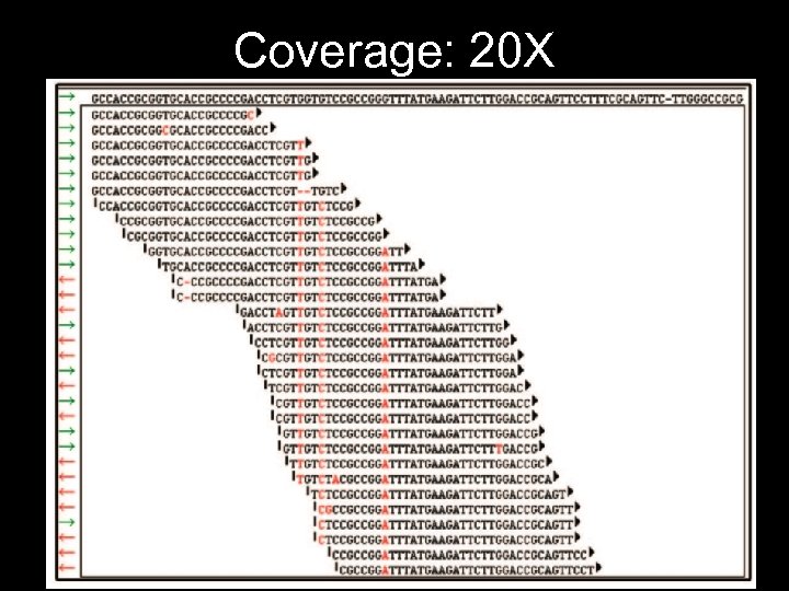 Coverage: 20 X 