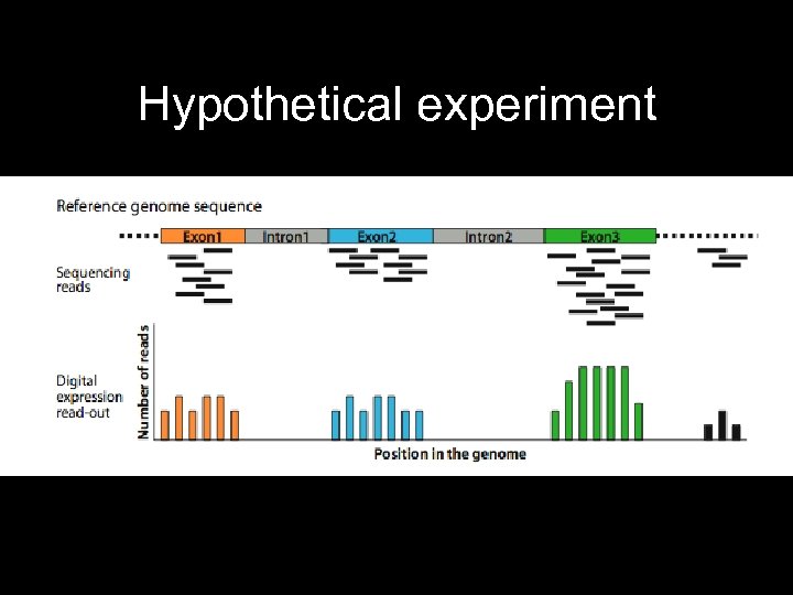 Hypothetical experiment • Sequence c. DNA libraries from each bucket and/or treatment • Count