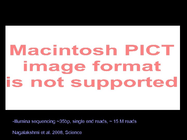 -Illumina sequencing ~35 bp, single end reads, ~ 15 M reads Nagalakshmi et al.