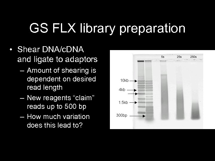 GS FLX library preparation • Shear DNA/c. DNA and ligate to adaptors – Amount