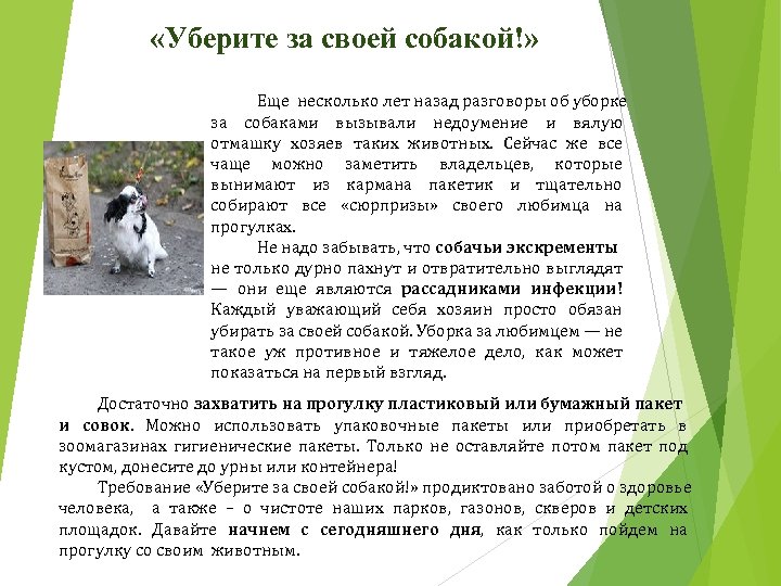  «Уберите за своей собакой!» Еще несколько лет назад разговоры об уборке за собаками