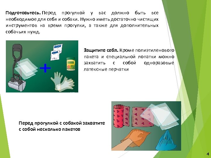 Подготовьтесь. Перед прогулкой у вас должно быть все необходимое для себя и собаки. Нужно