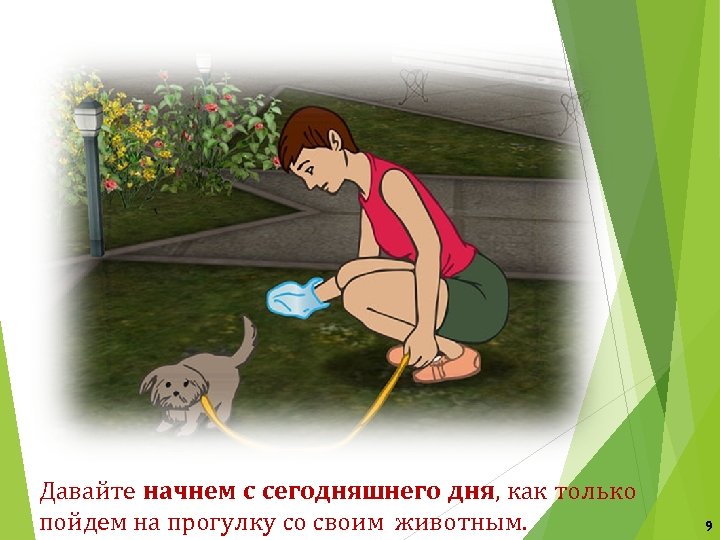 Давайте начнем с сегодняшнего дня, как только пойдем на прогулку со своим животным. 9