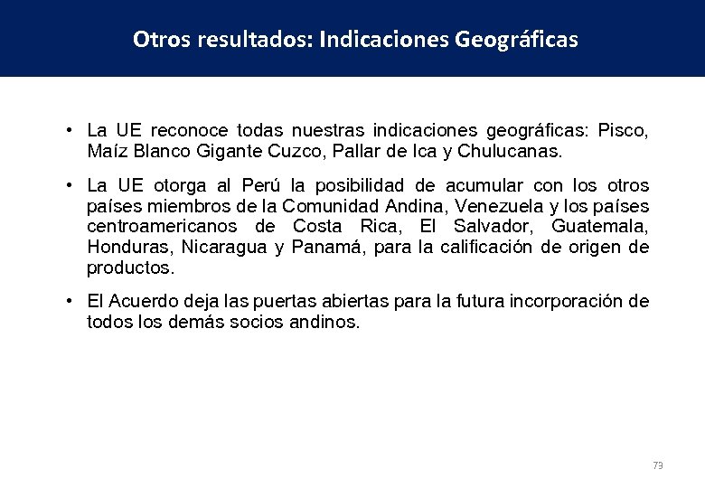 Otros resultados: Indicaciones Geográficas • La UE reconoce todas nuestras indicaciones geográficas: Pisco, Maíz