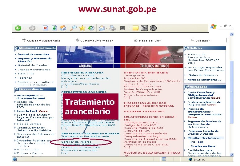 www. sunat. gob. pe Tratamiento arancelario 