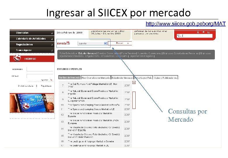 Ingresar al SIICEX por mercado http: //www. siicex. gob. peborg/MAT Consultas por Mercado 