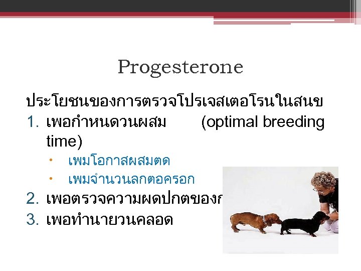 Progesterone ประโยชนของการตรวจโปรเจสเตอโรนในสนข 1. เพอกำหนดวนผสม (optimal breeding time) เพมโอกาสผสมตด เพมจำนวนลกตอครอก 2. เพอตรวจความผดปกตของการตงทอง 3. เพอทำนายวนคลอด 