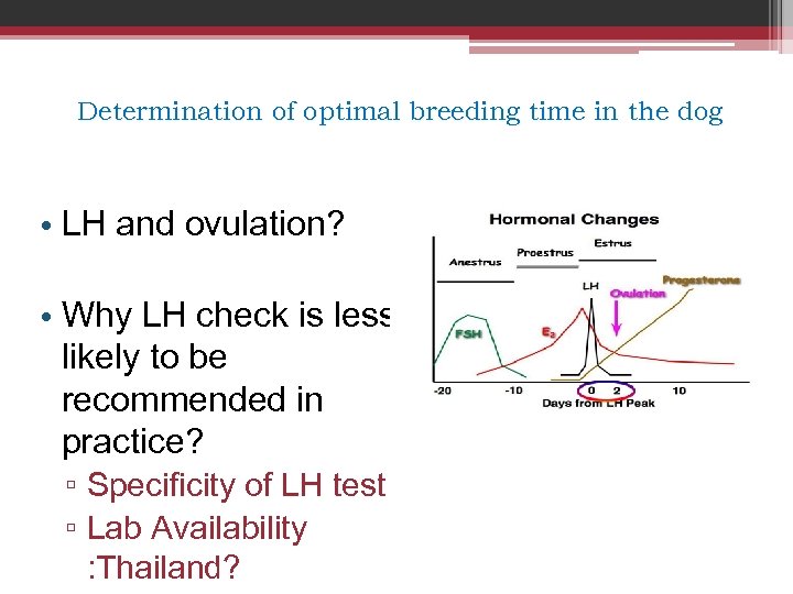 Determination of optimal breeding time in the dog • LH and ovulation? • Why