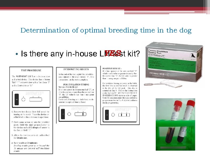 Determination of optimal breeding time in the dog YES • Is there any in-house