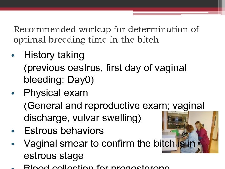 Recommended workup for determination of optimal breeding time in the bitch • History taking