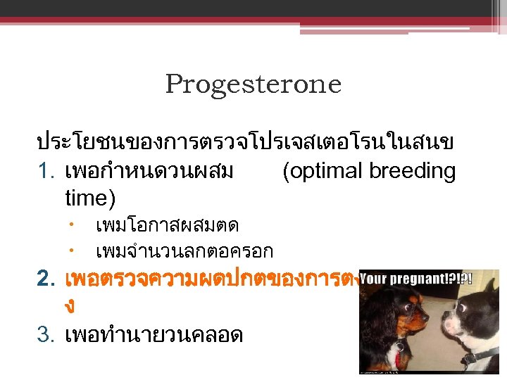 Progesterone ประโยชนของการตรวจโปรเจสเตอโรนในสนข 1. เพอกำหนดวนผสม (optimal breeding time) เพมโอกาสผสมตด เพมจำนวนลกตอครอก 2. เพอตรวจความผดปกตของการตงทอ ง 3. เพอทำนายวนคลอด