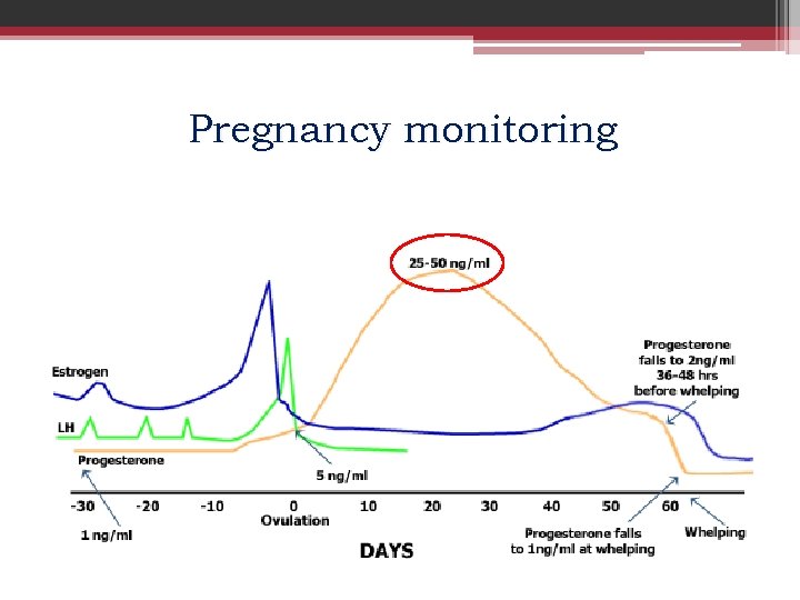 Pregnancy monitoring 