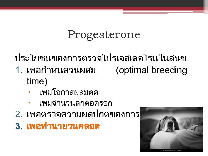 Progesterone ประโยชนของการตรวจโปรเจสเตอโรนในสนข 1. เพอกำหนดวนผสม (optimal breeding time) เพมโอกาสผสมตด เพมจำนวนลกตอครอก 2. เพอตรวจความผดปกตของการตงทอง 3. เพอทำนายวนคลอด 