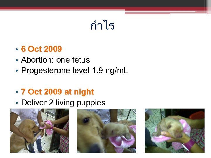 กำไร • 6 Oct 2009 • Abortion: one fetus • Progesterone level 1. 9
