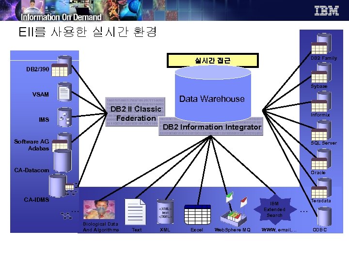 EII를 사용한 실시간 환경 DB 2 Family 실시간 접근 DB 2/390 Sybase VSAM Data