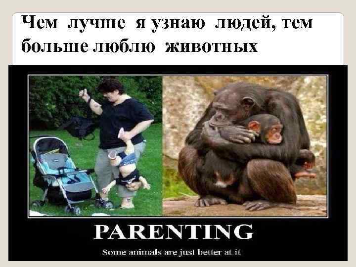 Чем лучше я узнаю людей, тем больше люблю животных 