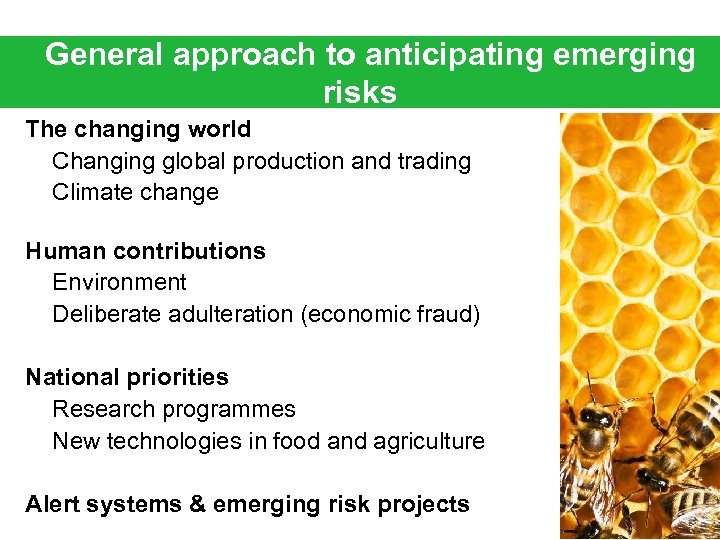 General approach to anticipating emerging risks The changing world Changing global production and trading