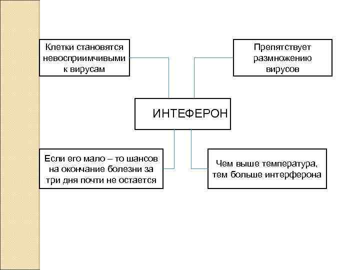 Клетки становятся невосприимчивыми к вирусам Препятствует размножению вирусов ИНТЕФЕРОН Если его мало – то