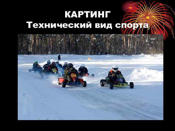 КАРТИНГ Технический вид спорта 