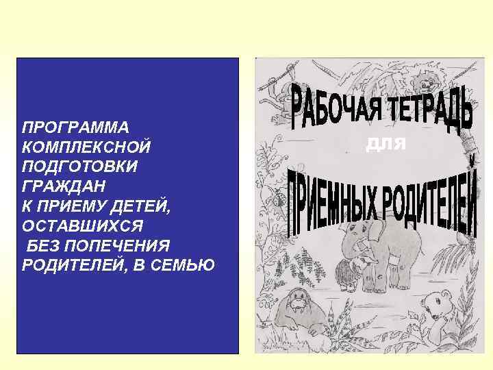 ПРОГРАММА КОМПЛЕКСНОЙ ПОДГОТОВКИ ГРАЖДАН К ПРИЕМУ ДЕТЕЙ, ОСТАВШИХСЯ БЕЗ ПОПЕЧЕНИЯ РОДИТЕЛЕЙ, В СЕМЬЮ ДЛЯ