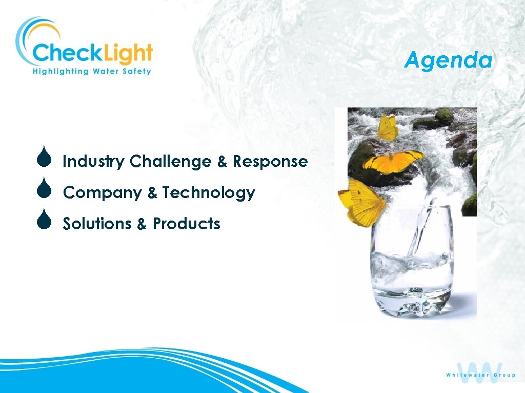 Agenda S S S Industry Challenge & Response Company & Technology Solutions & Products