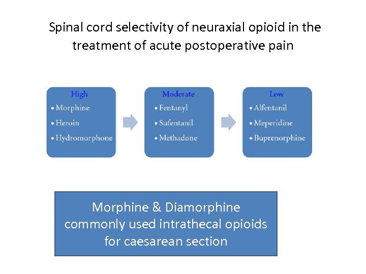  Spinal cord selectivity of neuraxial opioid in the treatment of acute postoperative pain