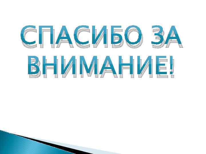СПАСИБО ЗА ВНИМАНИЕ! 
