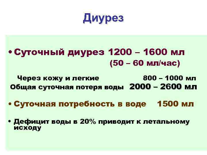 Диурез • Суточный диурез 1200 – 1600 мл (50 – 60 мл/час) Через кожу