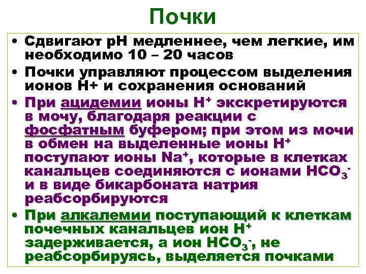 Почки • Сдвигают р. Н медленнее, чем легкие, им необходимо 10 – 20 часов