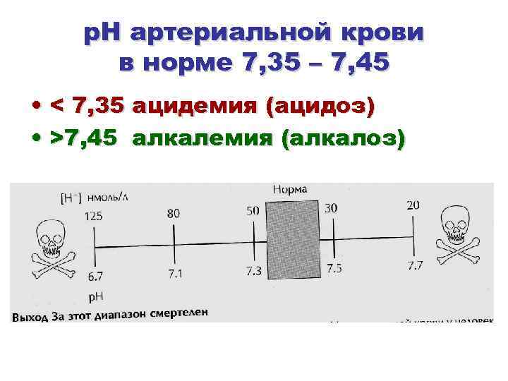 р. Н артериальной крови в норме 7, 35 – 7, 45 • < 7,