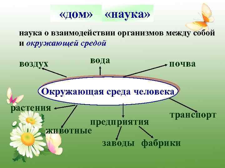  «дом» «наука» Экология наука о взаимодействии организмов между собой и окружающей средой воздух