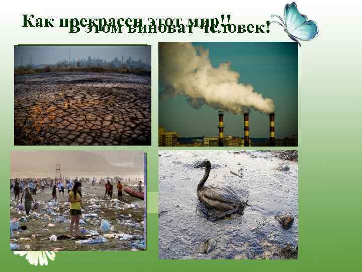 Как прекрасен этот мир!! В этом виноват человек! 