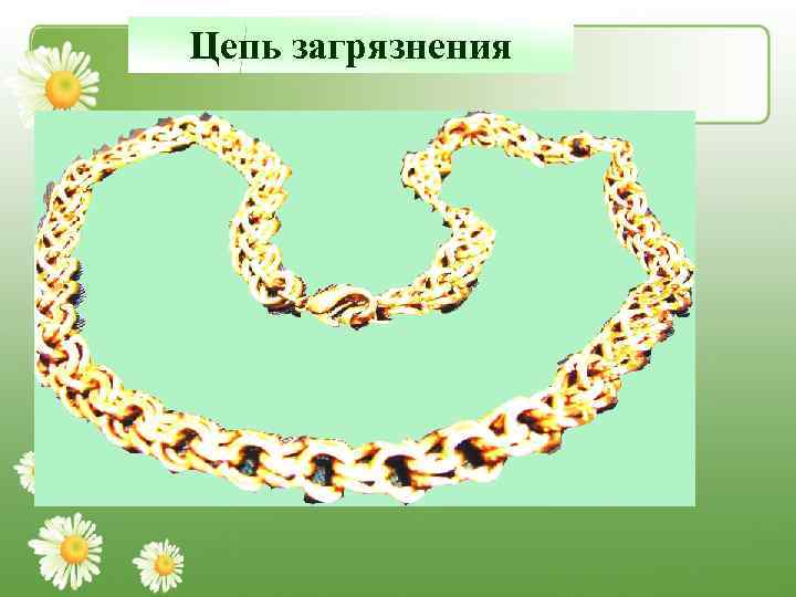 Цепь загрязнения 