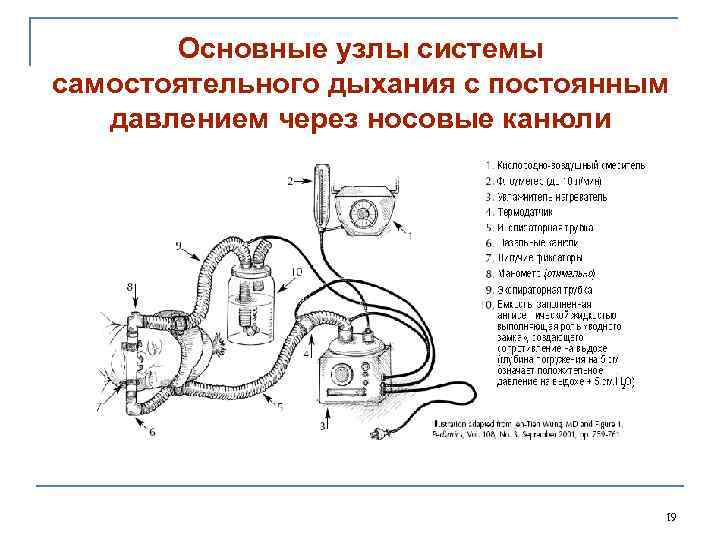 Основные узлы системы самостоятельного дыхания с постоянным давлением через носовые канюли 19 