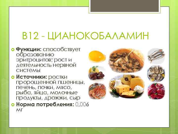 B 12 - ЦИАНОКОБАЛАМИН Функции: способствует образованию эритроцитов; рост и деятельность нервной системы Источники: