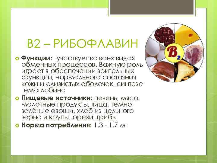 B 2 – РИБОФЛАВИН Функции: участвует во всех видах обменных процессов. Важную роль играет