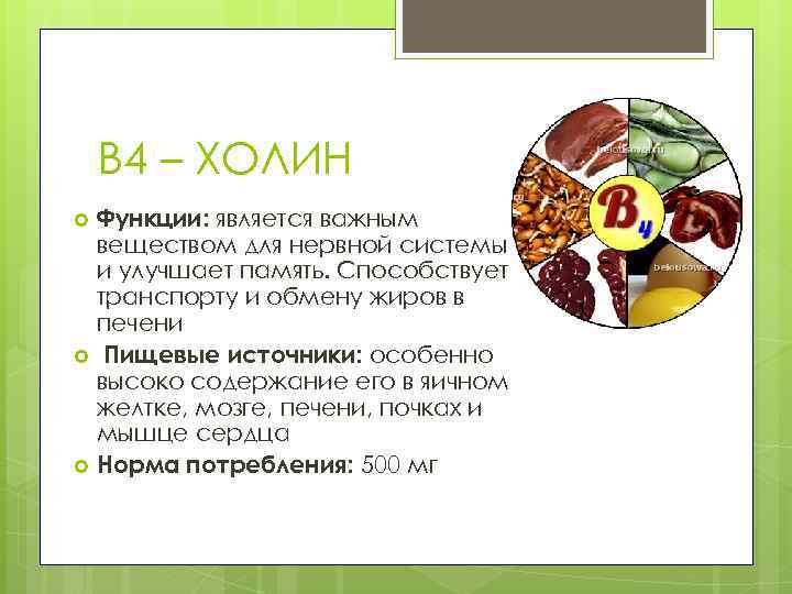 B 4 – ХОЛИН Функции: является важным веществом для нервной системы и улучшает память.
