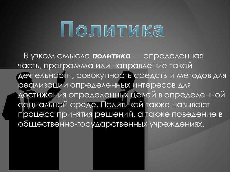 Проект политика