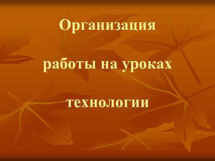 Организация работы на уроках технологии 