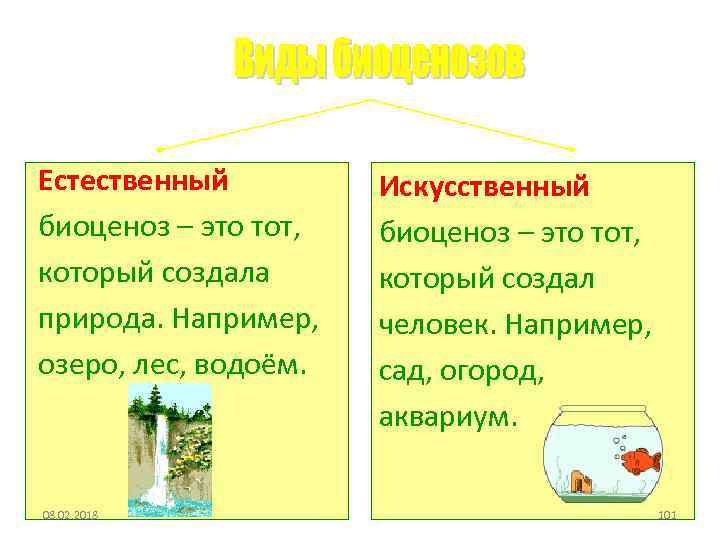 Естественные и искусственные биоценозы презентация