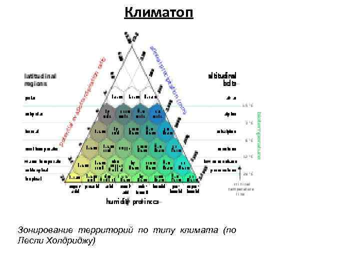 Климатоп Зонирование территорий по типу климата (по Лесли Холдриджу) 