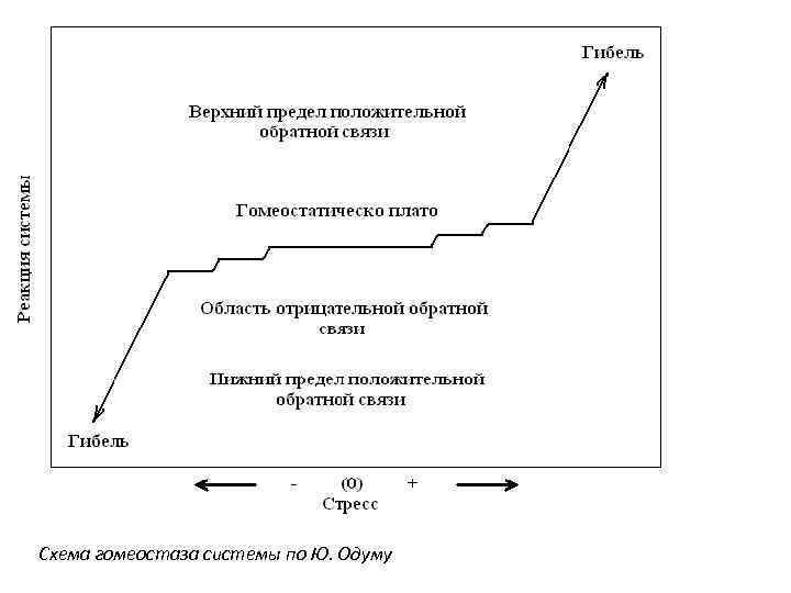 Схема гомеостаза системы по Ю. Одуму 