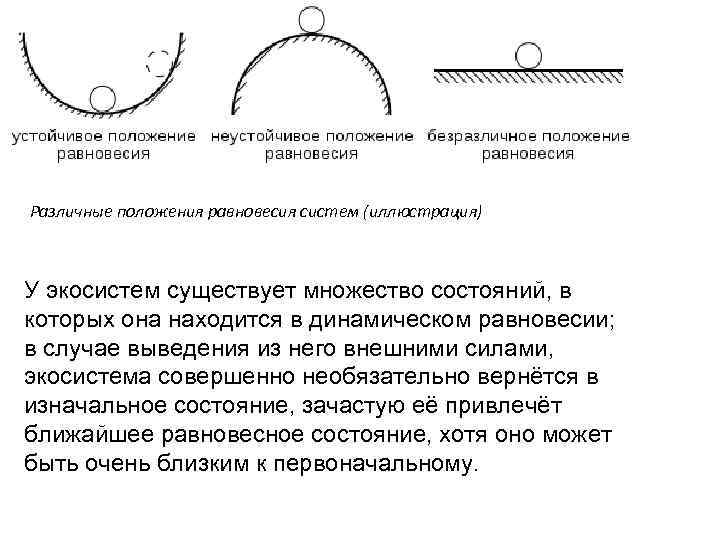 Различные положения равновесия систем (иллюстрация) У экосистем существует множество состояний, в которых она находится