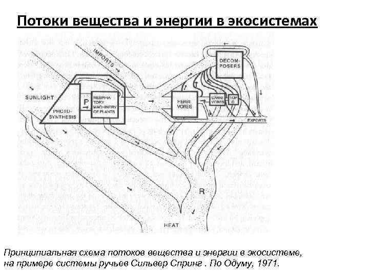 Потоки вещества и энергии в экосистемах Принципиальная схема потоков вещества и энергии в экосистеме,