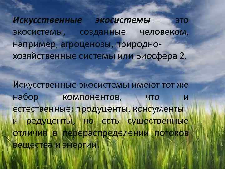 Искусственные экосистемы — это экосистемы, созданные человеком, например, агроценозы, природнохозяйственные системы или Биосфера 2.